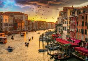 sunset birds newweb