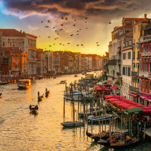 sunset birds newweb